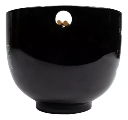 Bowl Ramen One Piece Con Palillos Chinos