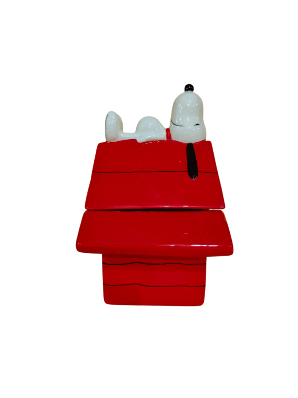 Galletero Decorativo De Porcelana 3D Casa Snoopy Peanuts