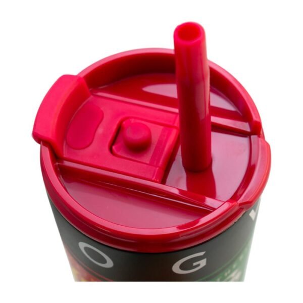 Termo Acero Inoxidable Doble Pared con Popote Harry Potter