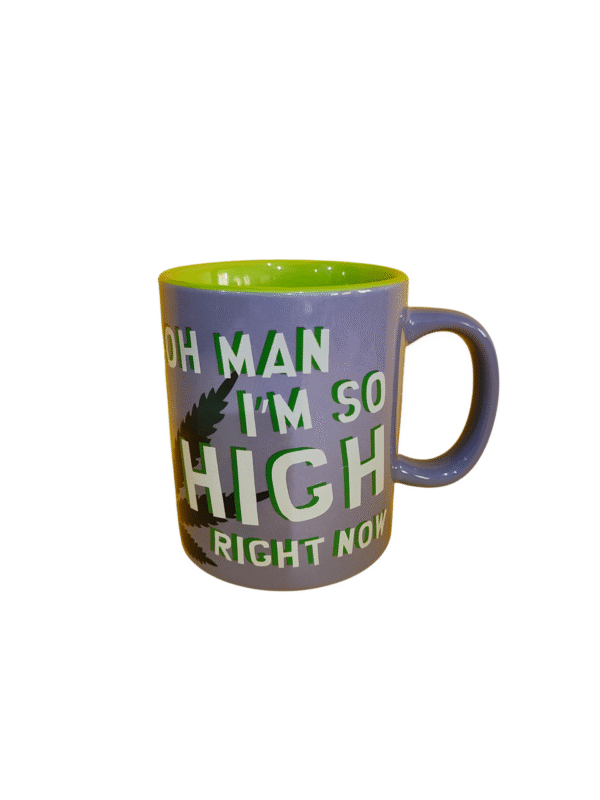 Taza Jumbo Edición Limitada South Park Toallin 576 Ml