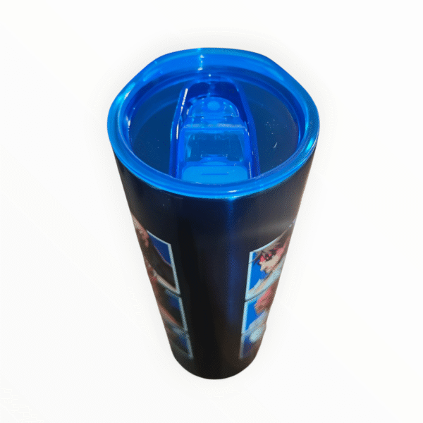 IMG20251219205903-Photoroom Termo Mediano Acero Inoxidable Street Fighter 591ml