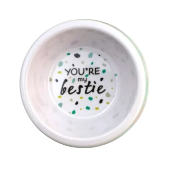 Plato Tazón Para Mascotas 16 Cm - Disney Mascotas