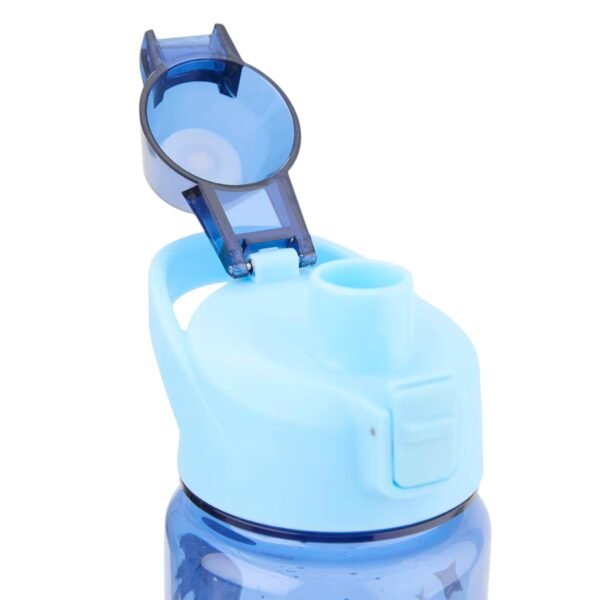Botella de Plastico Stitch con Tapa Push Pull 1L
